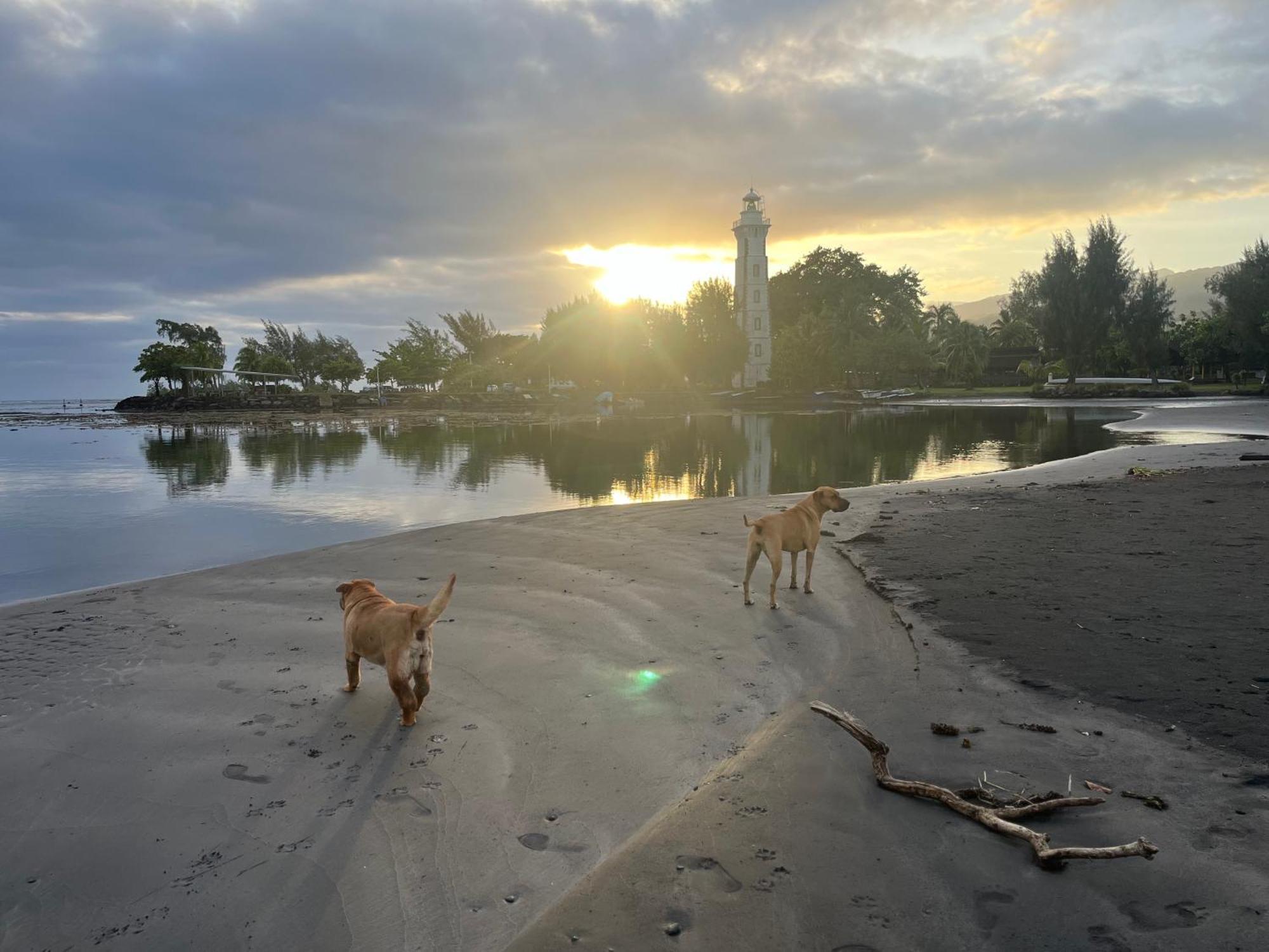 Pointe Venus Lodge Mahina Zewnętrze zdjęcie